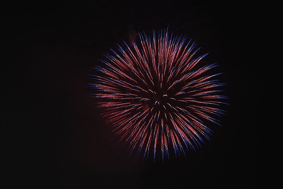 Yodogawa fireworks · a past display