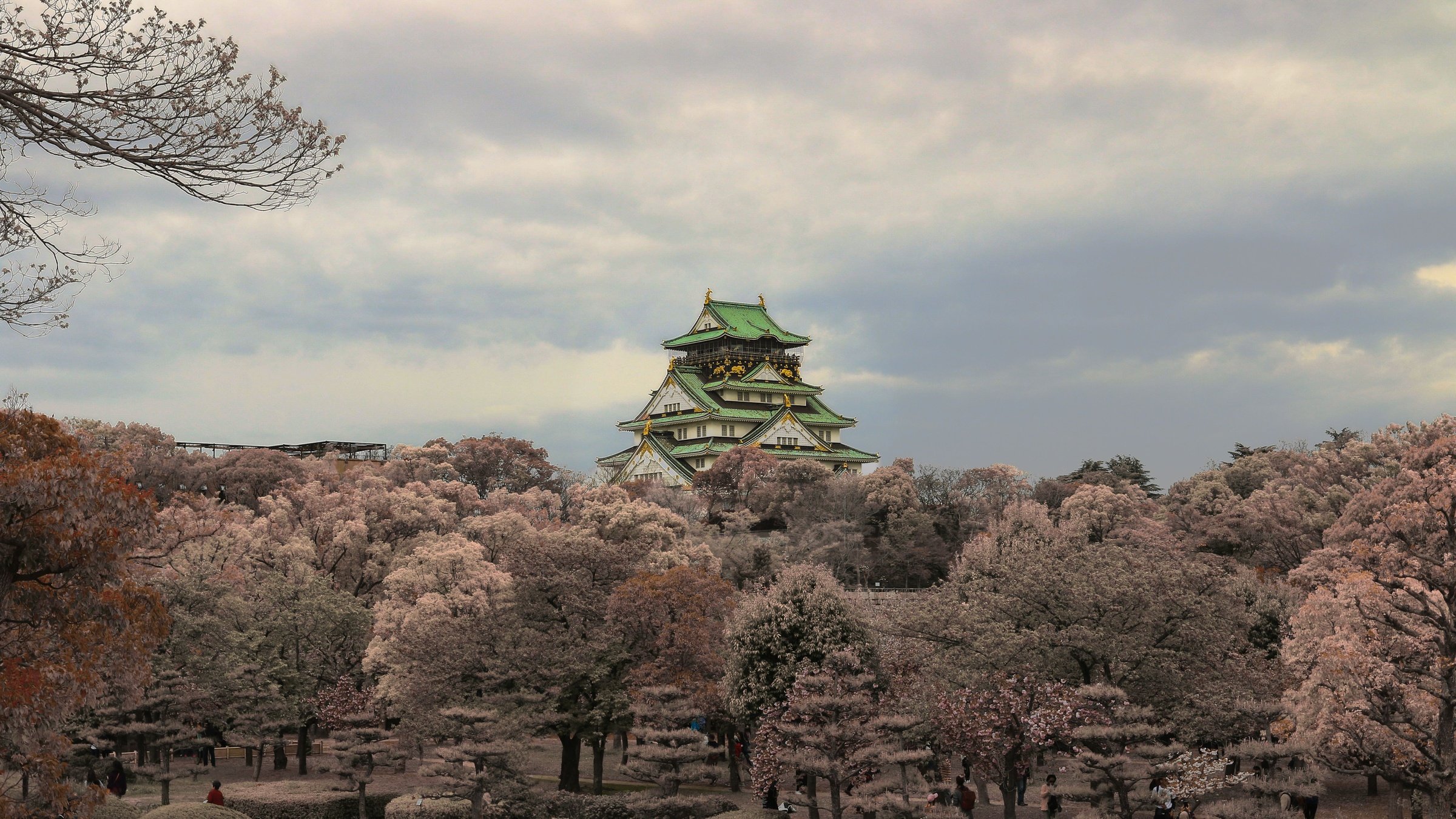 Osaka Castle surrounded by flowering cherry trees